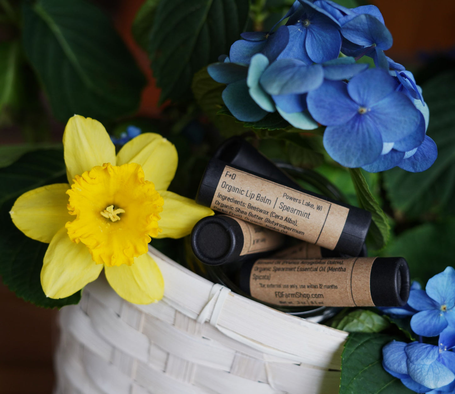 Organic Nourishing Lip Balm - Spearmint