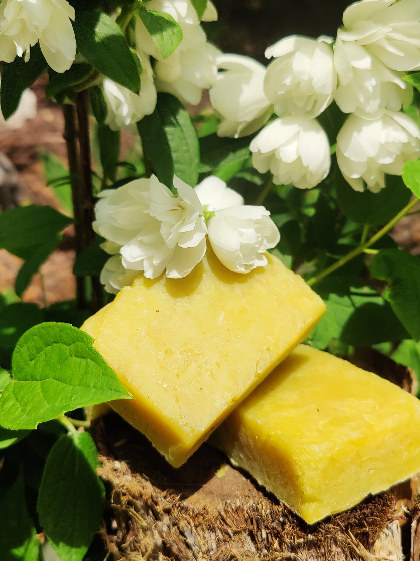 "Poma"  Orange + Frankincense + Clove - Nourishing Organic Bar Soap (Large Bar)