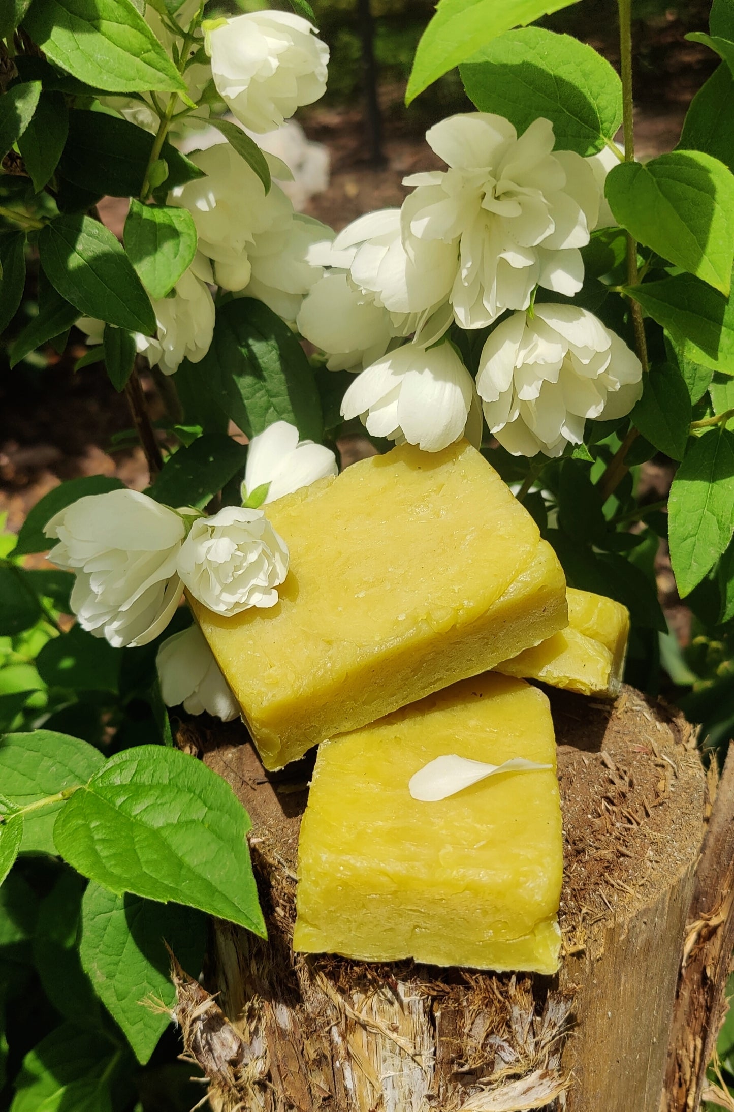 "Poma"  Orange + Frankincense + Clove - Nourishing Organic Bar Soap (Large Bar)