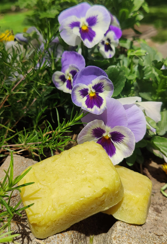 "Poma" Orange + Frankincense + Clove  -  Nourishing Organic Bar Soap (Small Bar)